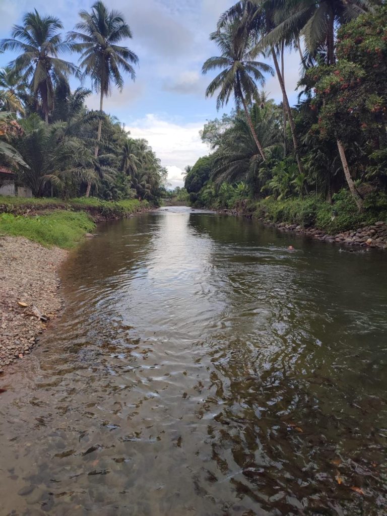 Kondisi sungai Garoga Desa Garoga Kecamatan Batang Toru yang asri dengan linhgkungan yang terjaga. 